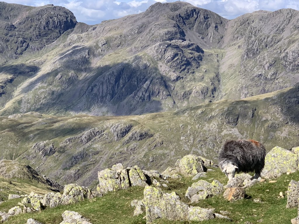 Manclee's tweet photo. The #Scafells from #Bowfell https://t.co/ZWbJATv4wn