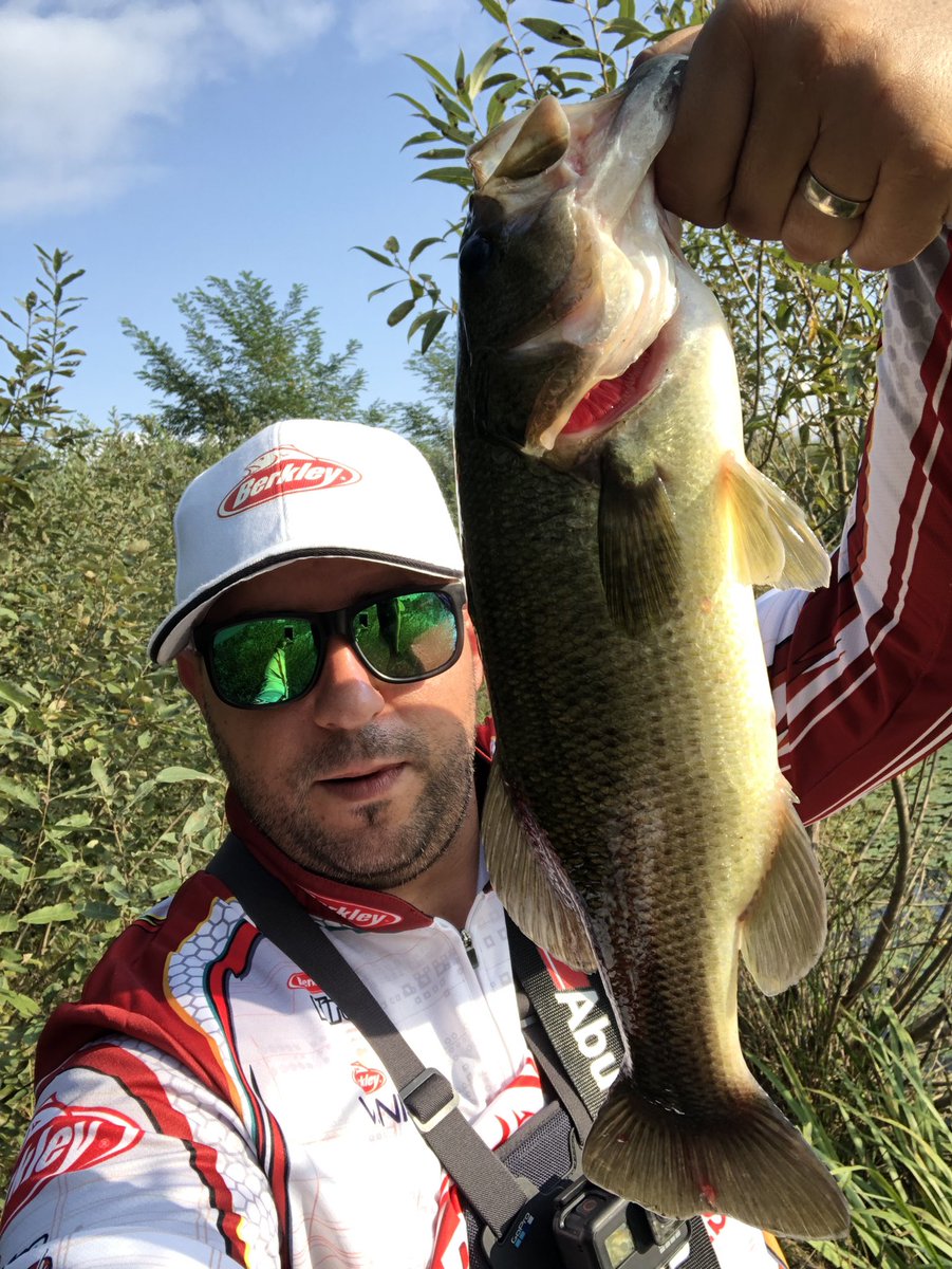 bassterYoda's tweet photo. New Berkley stuff in Europe 💪🏻💪🏻💪🏻
#berkley 
#berkleyfishing 
#powerbait 
#BerkleyPowerTube 
#mitchellmx9 
#mitchelltraxx 
#berkleyx9 
#berkleytrilene 
#bassfishing 
#bassfishingeurope 
#bassfishingcroatia https://t.co/xIy081hT3a