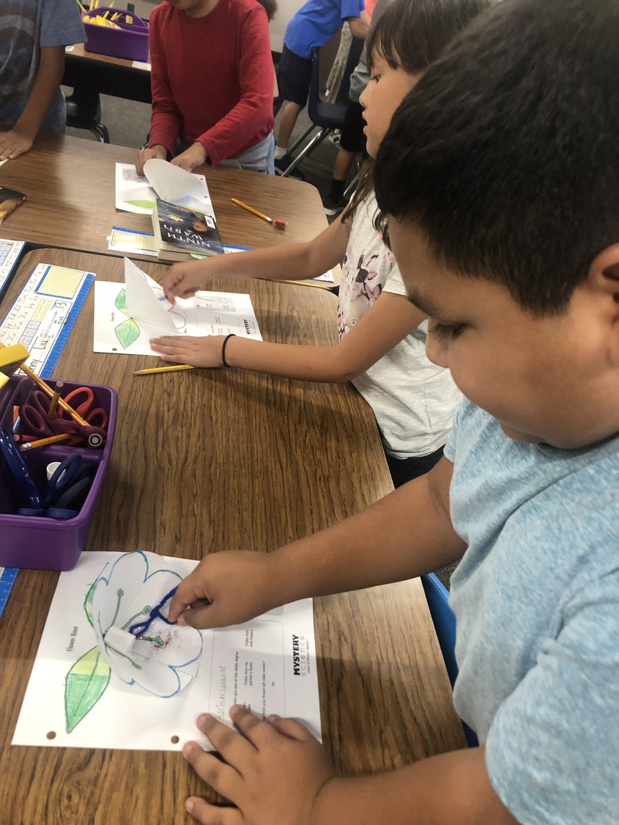 Fernandez_Jess_'s tweet image. Ss excited to see how bees 🐝 pollinate from flower to flower! #mysterscience #weAreRUSD @shelynsharks @RowlandSchools