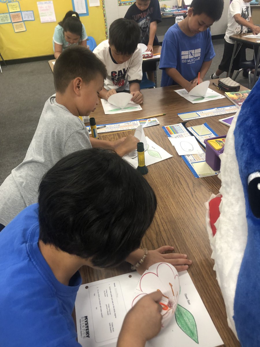 Fernandez_Jess_'s tweet image. Ss excited to see how bees 🐝 pollinate from flower to flower! #mysterscience #weAreRUSD @shelynsharks @RowlandSchools