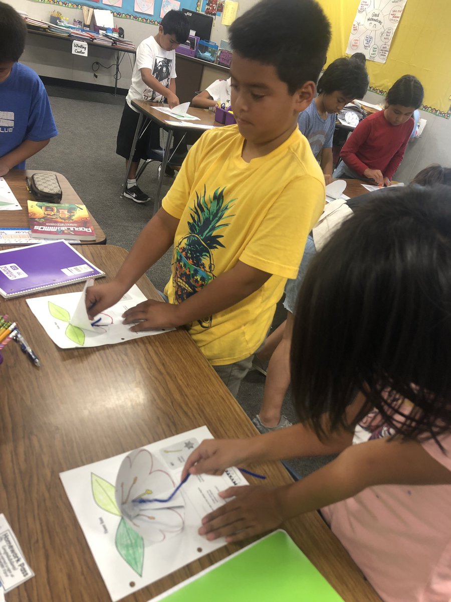 Fernandez_Jess_'s tweet image. Ss excited to see how bees 🐝 pollinate from flower to flower! #mysterscience #weAreRUSD @shelynsharks @RowlandSchools