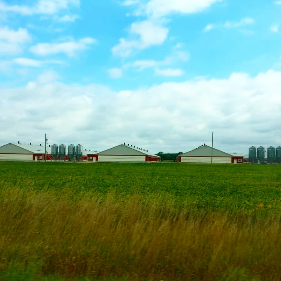 Process on the carpet of blades