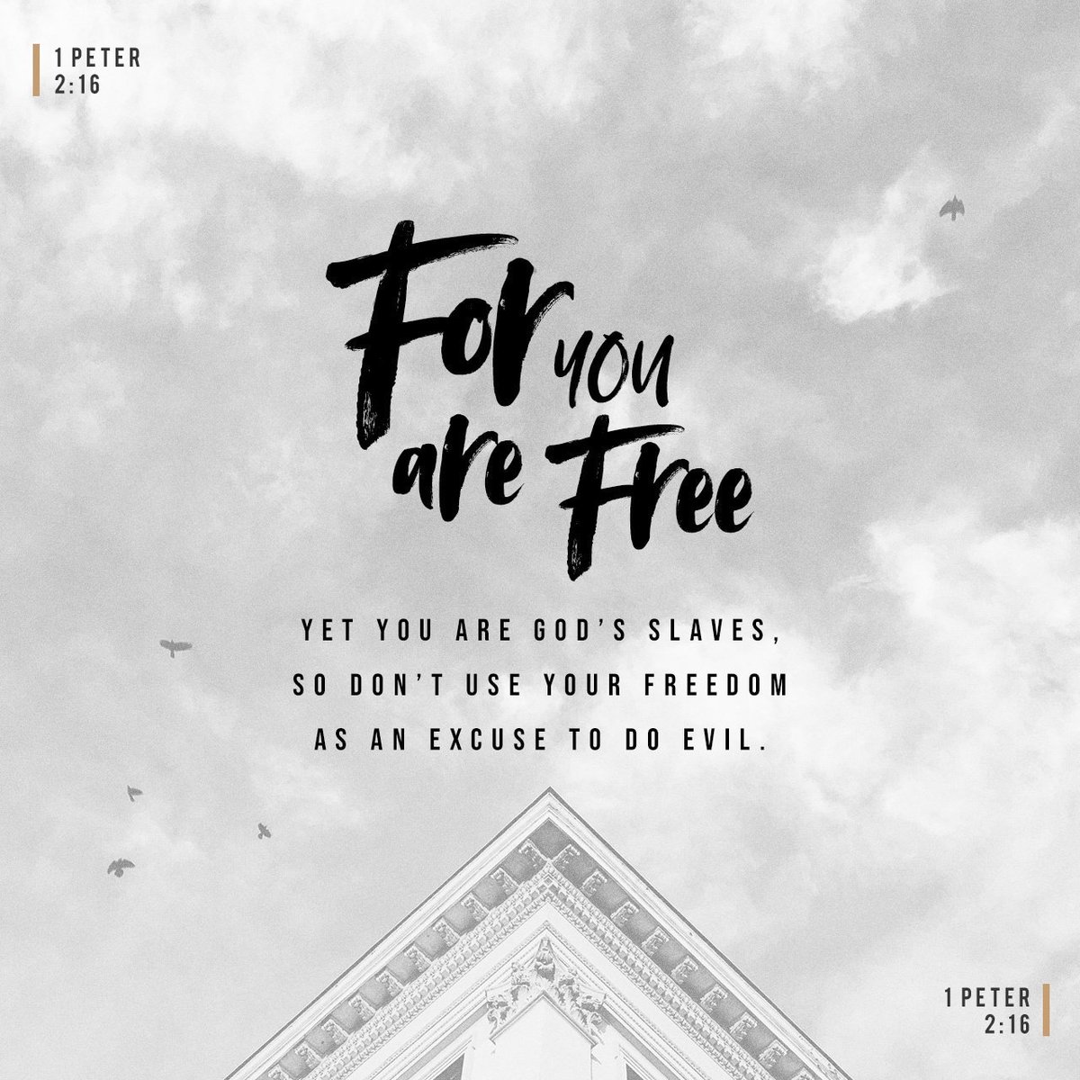 HolyCovenant's tweet image. As free, and not using your liberty for a cloak of maliciousness, but as the servants of …
bible.com/verse-of-the-d…