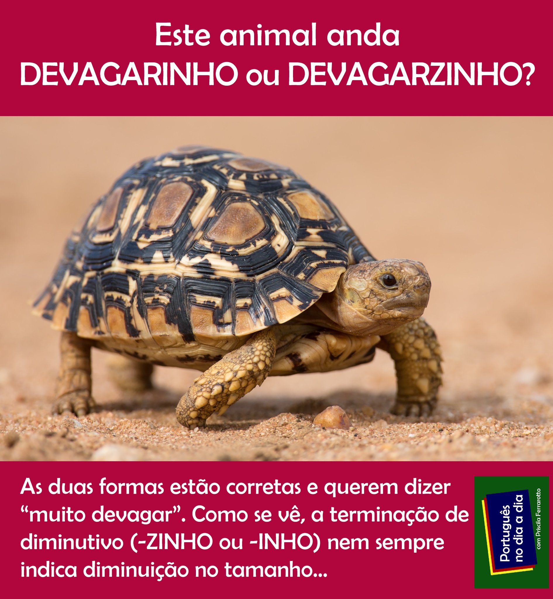 Português no dia a dia on Twitter: 