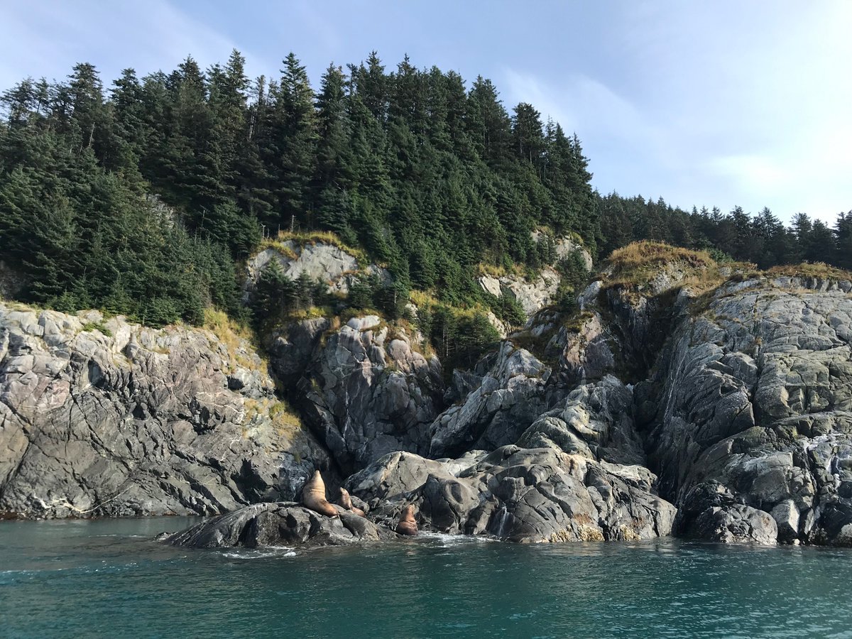 just_a_cage's tweet photo. Took a Twitter break to join @SOAlliance in Alaska as a youth ocean leader for their #AcceleratorAtSea. Haven't felt this inspired since the Paris Agreement negotiations. We gotta spend more time together outside, folks! https://t.co/4kY2C9YSKC