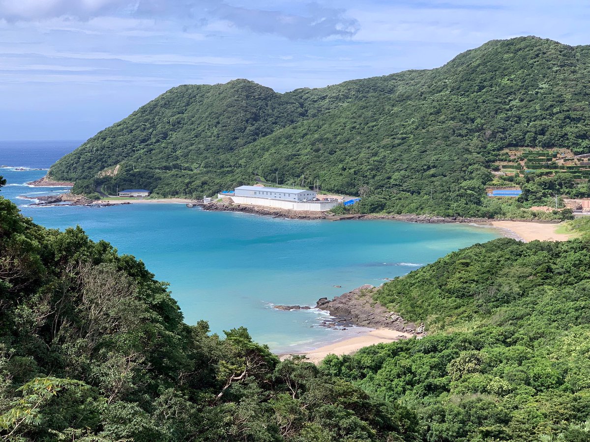 buentei's tweet photo. #丸木浜 。
#ぶえん亭 から30分ほどで行ける海水浴場です。
近くまで配達に来ました。
しばし時間を忘れて、潮風に当たって帰ろうと思います。 #お弁当 https://t.co/0wFNHuh7jp