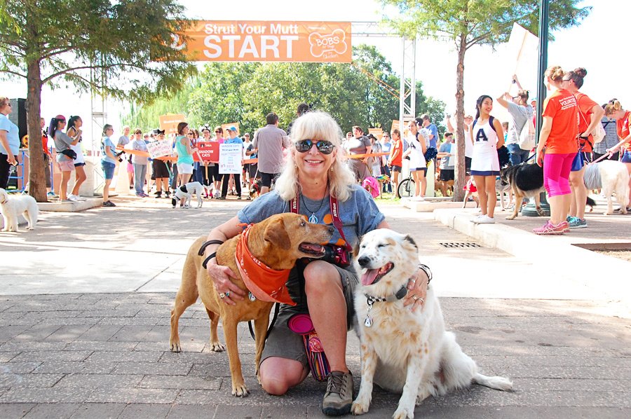 BestTXGetaways's tweet photo. Helping dogs and cats in the #Austin area, @BestFriends Strut Your Mutt  Austin fundraising event is happening September 14th at Walter E. Long Park! https://t.co/Y8exbBW4w1 https://t.co/pMSO4YvJlX