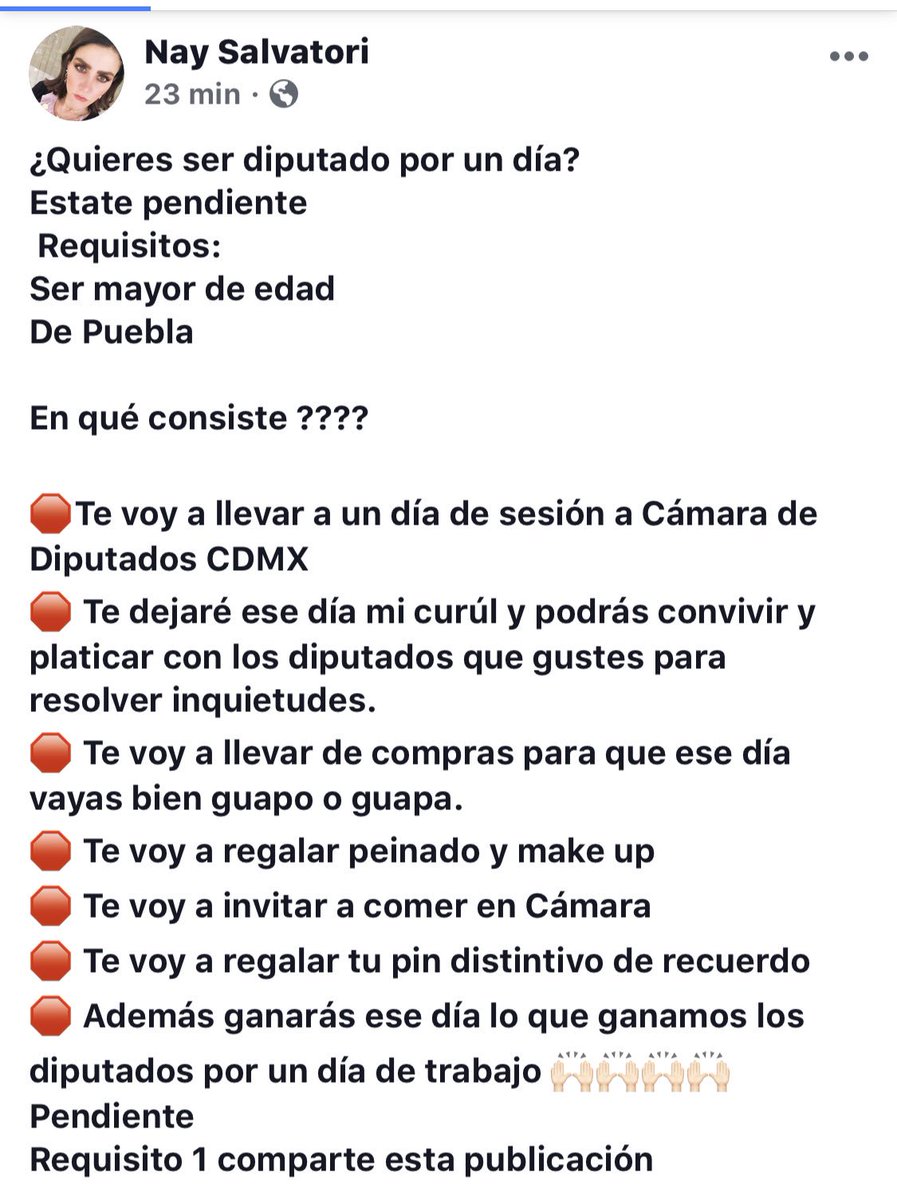 Naysalvatori's tweet photo. ¿Quieres ser diputado por un día?
Ahora podrás comprobar por ti mismo si trabajamos o no jajaja además será una experiencia bien padre. https://t.co/tErKDF6tfV