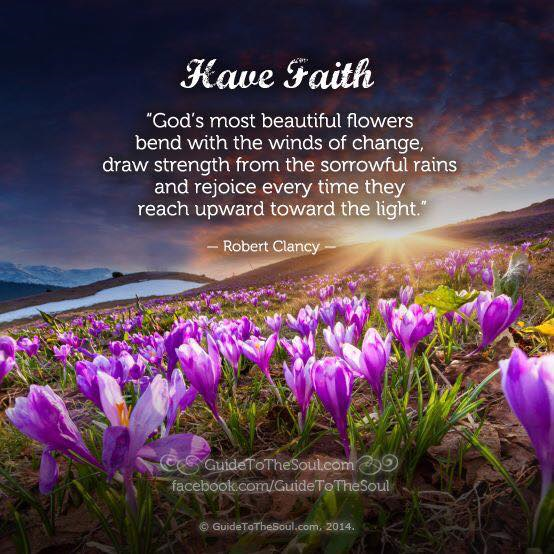 #HaveFaith "#God's most beautiful #flowers bend with the winds of #change, draw #strength from the sorrowful #rains and #rejoice every time they reach upward toward the light." —> +<a href="/guidetosoul/">Robert Clancy</a>