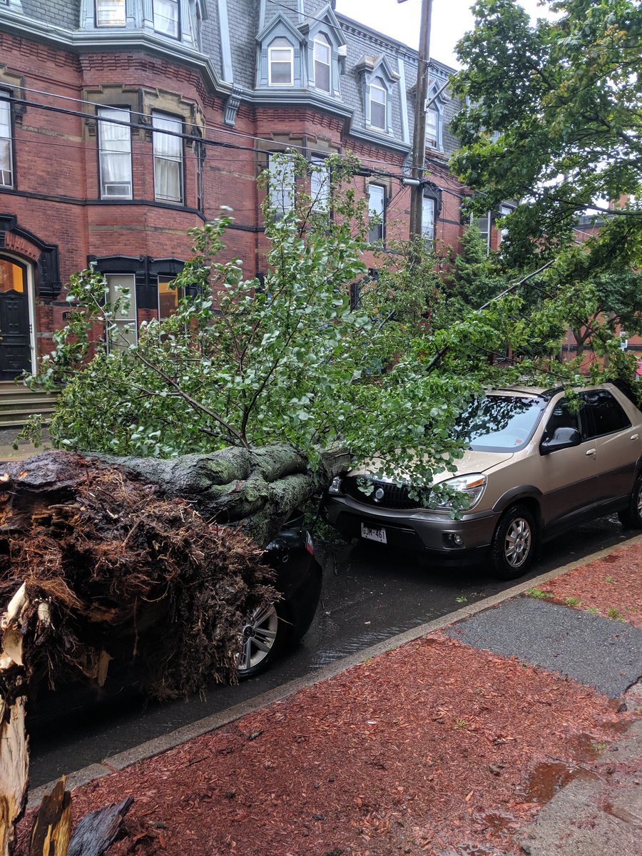 AskPharmacistJM's tweet photo. @cityofsaintjohn is not in the clear. Are you parked on Germain? https://t.co/7VHNKWUbUa