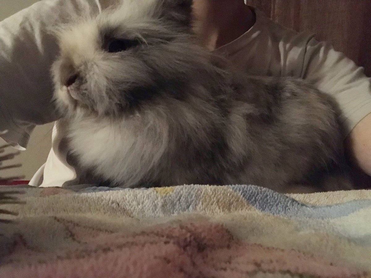 Having a spar day,, in order to stay baoutiful...., i Hate it , But its worthe it : becos i want to bee realy hansom and gorjus .