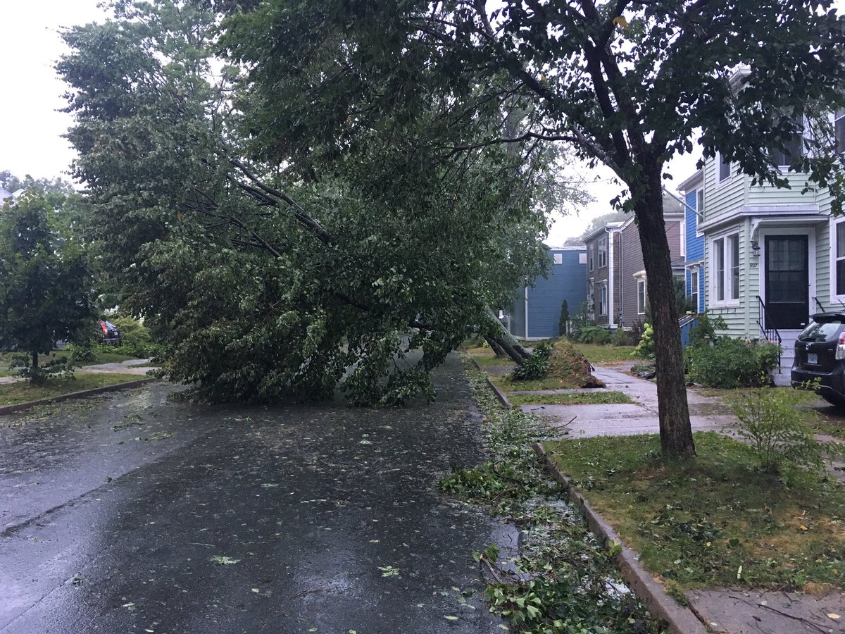 kramer_lab's tweet image. #Dorian @nspowerinc @ryansnoddon Tree down on Brussels St in Halifax. Power line is holding it up for now.