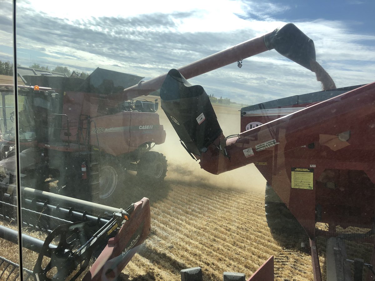 Amber Boxall tweet media