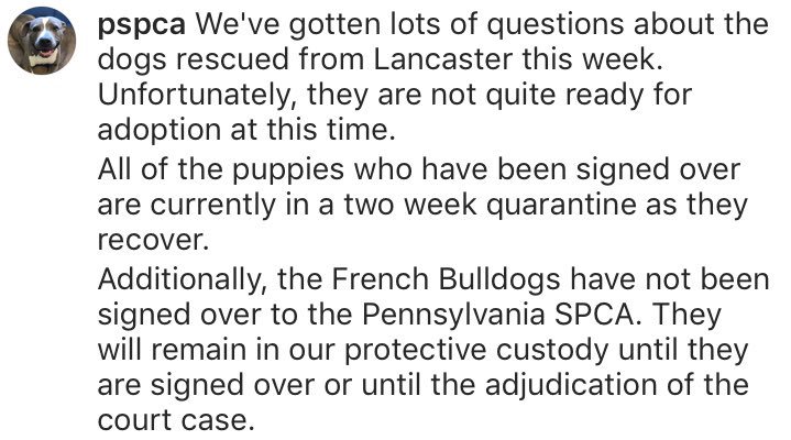 JanCarabeoCBS3's tweet photo. An update from the @PSPCA on the dogs rescued this week in Lancaster County. @CarolNewsbreak will join us tomorrow morning for more during the #CBS3PetProject. https://t.co/k2FpIipREn