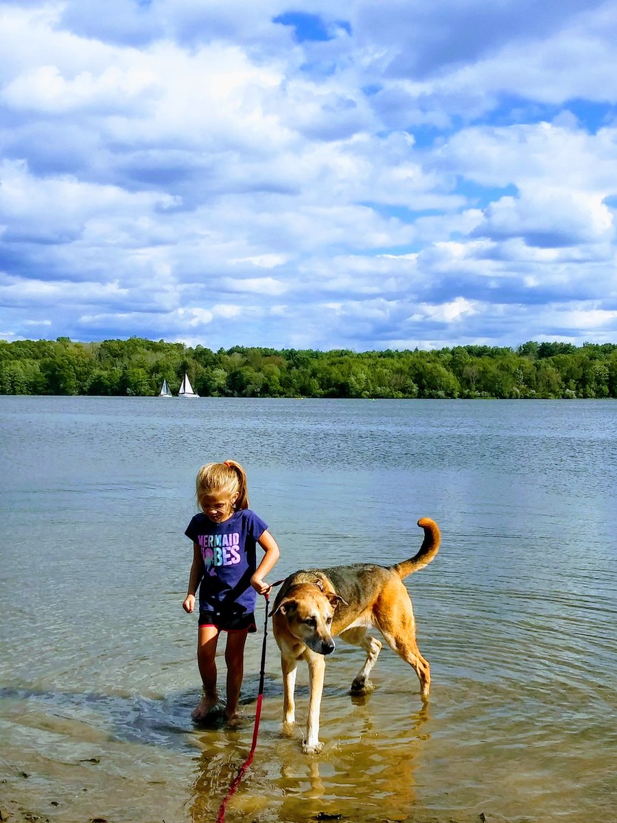 ckyle622's tweet photo. Beautiful day for a walk at Lake Nockamixon with @AlDuke19 https://t.co/1jEWnJwPIC