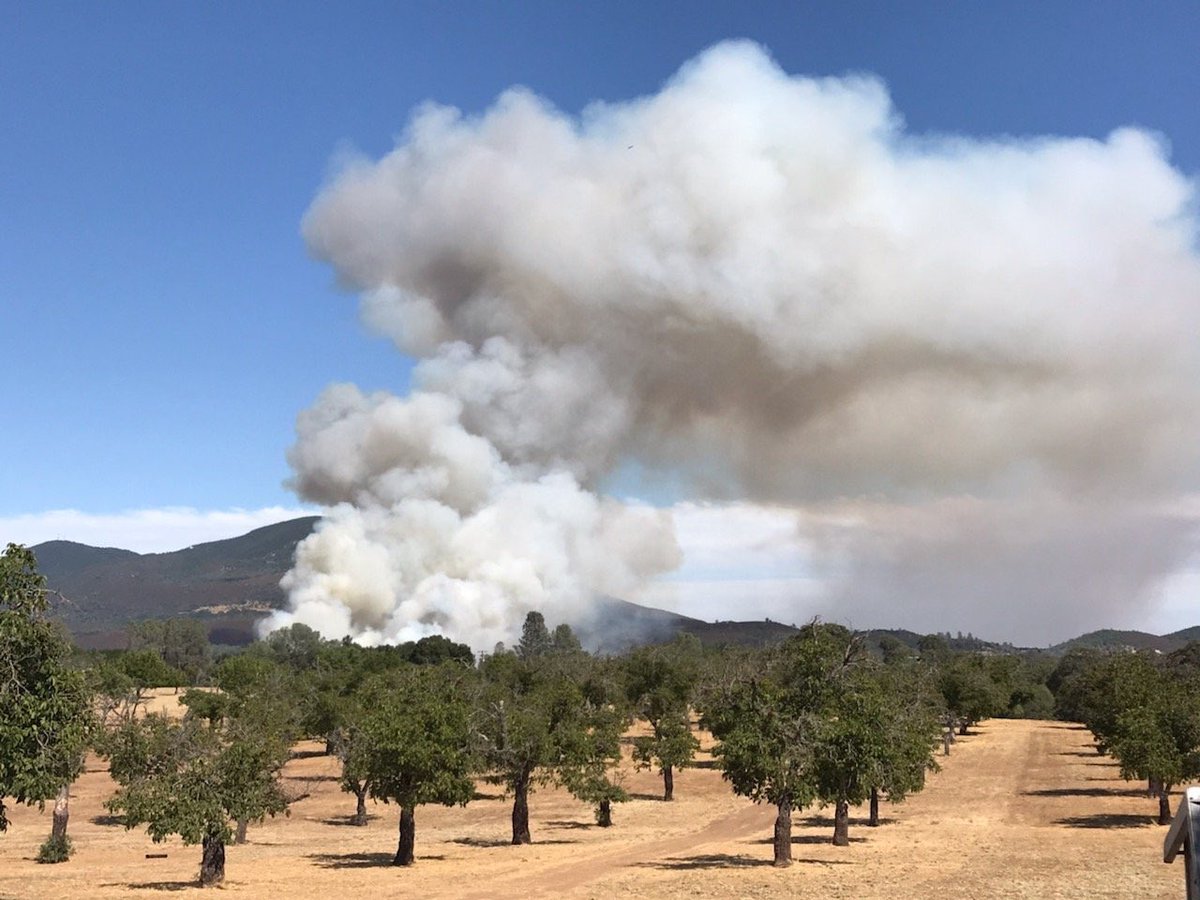 UCDavisFire's tweet image. Engine 34 from UC Davis Fire &amp;amp; Brush 25 from @YochaDeheFire are responding immediate need to the #OakFire South of Kelseyville in Lake County for structure protection. This is in addition to #UCDFD Brush 34 which is on the #RedBankFire near Redbluff. 🚒 💨 #UCDavis #