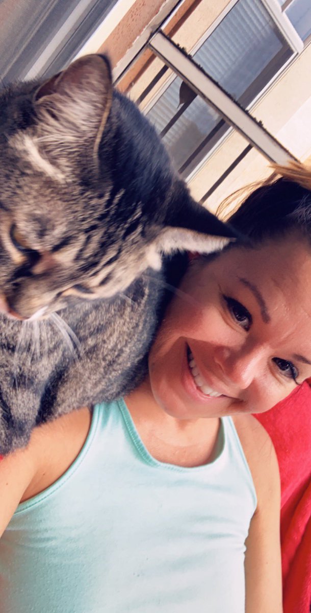 MissLyoness2U's tweet image. Her #Caturday started like this and is ending like that. #meowlife #floridakitty #CatsOfTwitter #Patiolife