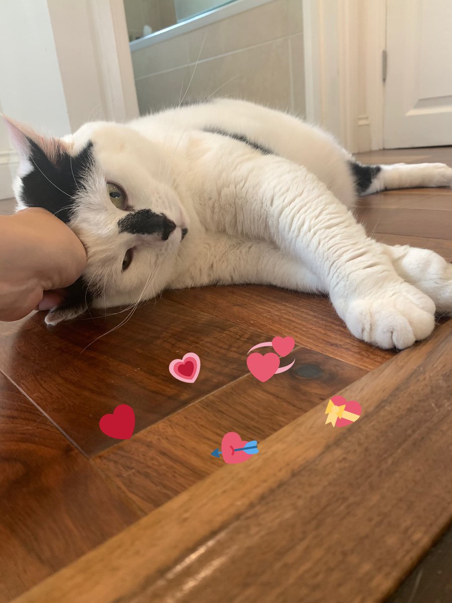 , think-ing about ,   how im Lömve.     -‘and.     Respect ,

                       mine LGBTQ+.    frënds <3