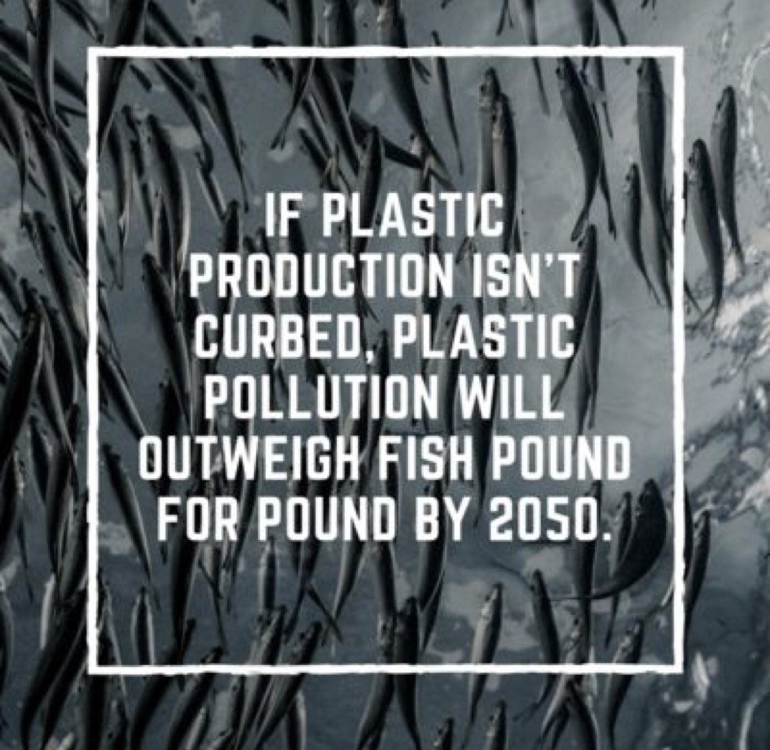 oinacarton's tweet photo. The time is now, if we don’t kerb our #plasticwaste we are heading towards as much #plastic as fish in our #oceans by 2050. #h2oinacarton #betterforyou #sustainablewater #waterinacarton #greatforyou
#betterforyoubetterfortheplanet
#planetearth #sustainability #ecofriendly https://t.co/JuqlMiCE62