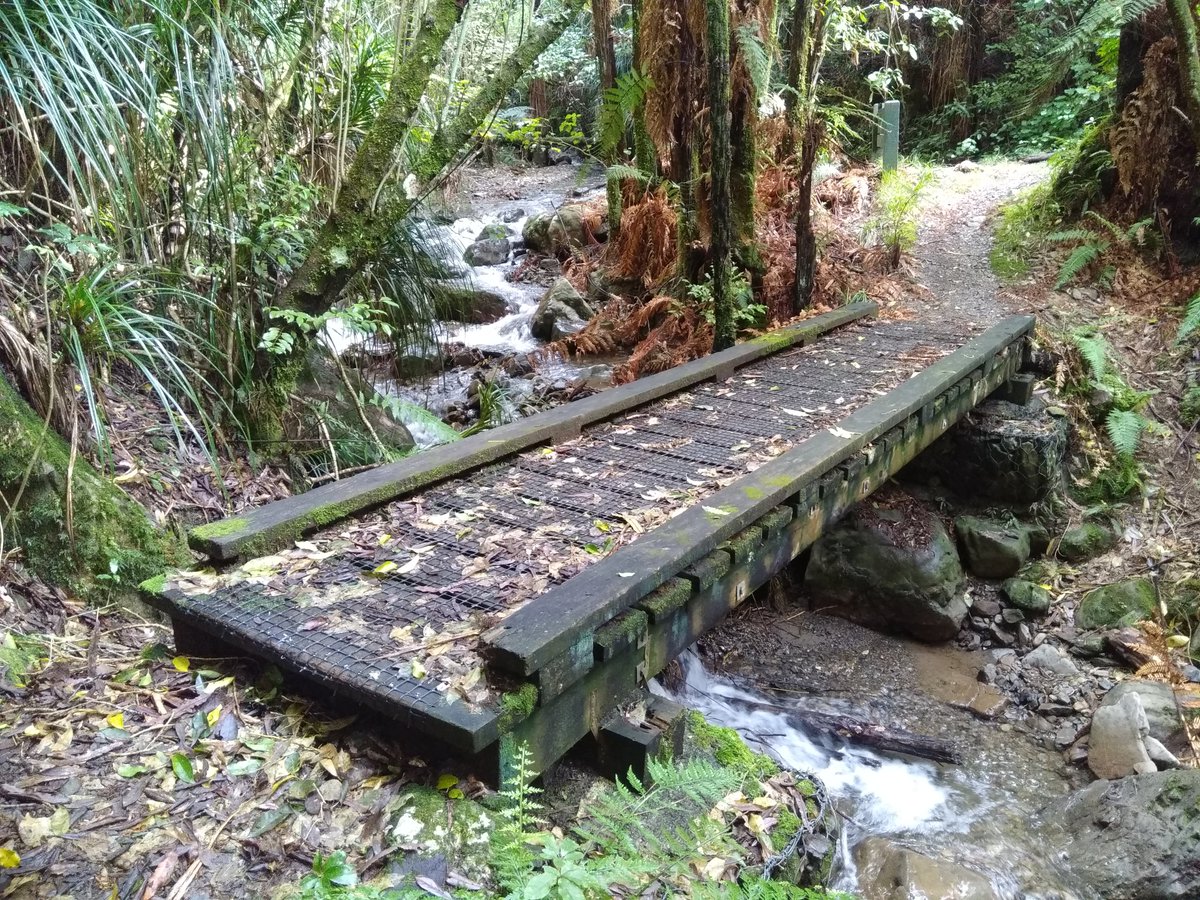 RemutakaC's tweet photo. Lunchtime view of the stream after placing an IR camera on an incubating kiwi's burrow. Bushnell Trail Cam. Skerret's Creek Bridge on way out. #RemutakaForestPark. #RFPT. https://t.co/9JFmJkL2v3