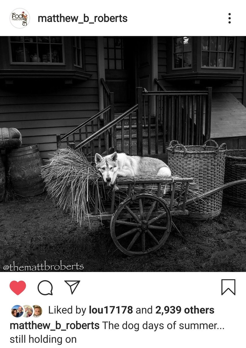 Thanks for the great photo @TheMattBRoberts 🐕🐶 #outlanderseason5