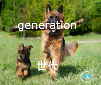 DevelopmentLs's tweet photo. #英単語 #英語の例文
The #generation of my grandmother was very conservative.
祖母の #世代 はとても保守的でした😀🇬🇧
https://t.co/qdRXXpSpni🇬🇧
#英会話教室 #英会話スクール #オンライン英会話 #英会話   #英単語帳 #勉強垢
※英単語は複数の意味を持つことがありこれは一例です。 https://t.co/8LjpcU3Q1k
