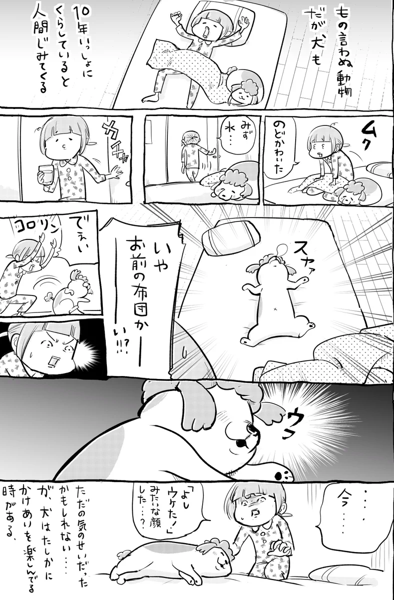 犬も猫も長年一緒に住んでいると人間じみて来るらしいww