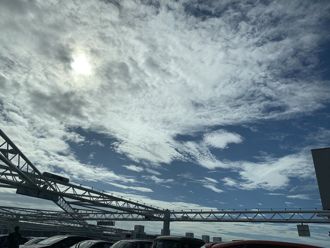 Netaroulifeさんのイラスト一覧 4ページ目