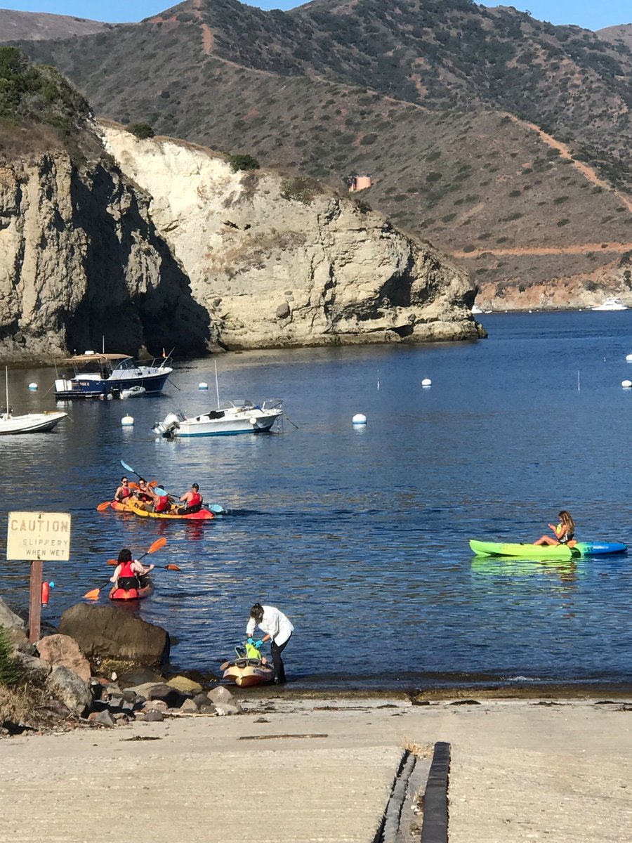 Kimberly Freeman (@assocdeancdo) on Twitter photo 