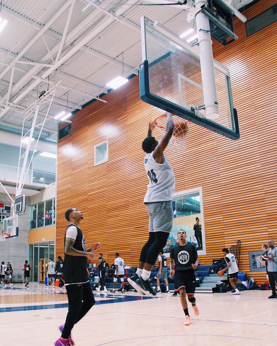 Raptors 905 tweet media