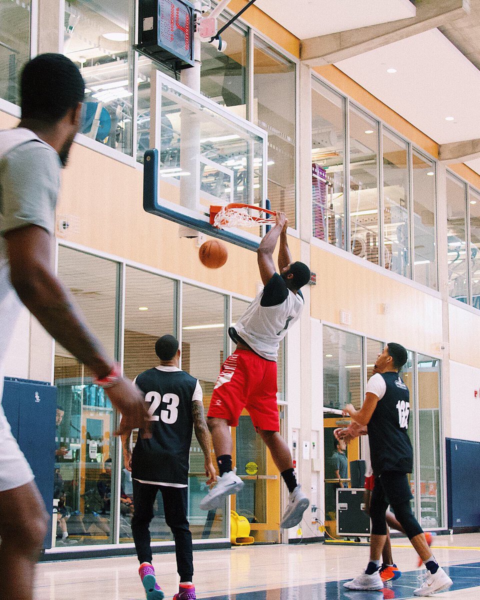 Raptors 905 tweet media