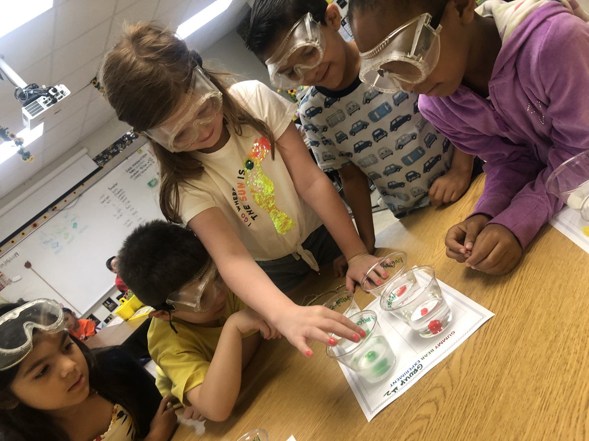 We had some SCIENTISTS in 1st Grade @ T.H.E. We know that scientists ask questions &amp; what they do to find out answers! Ms.Ochoa’s 1st Grade students did a Gummy Bear experiment where they were able to ask questions &amp; find some answers! #HcisdStories <a href="/T_H_E_Pirates/">Treasure Hills</a>