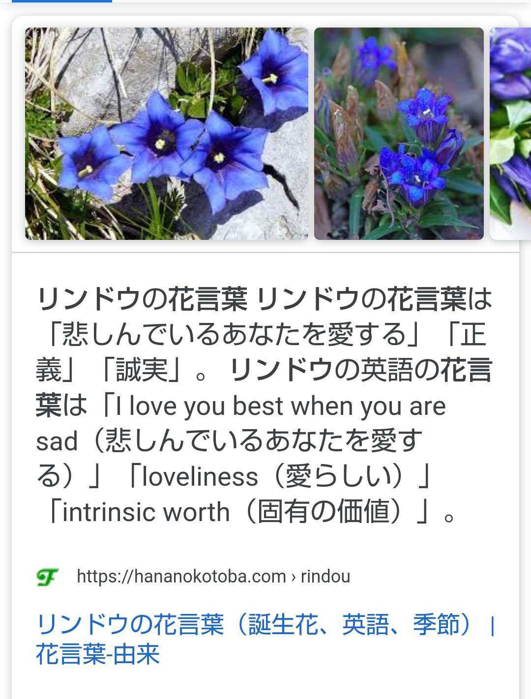 みやの Twitterissa 鬼太郎さんがねこちゃんにあげた花 りんどうかな 悲しんでるあなたを愛する 誠実 T Co F3dhgftur3 Twitter