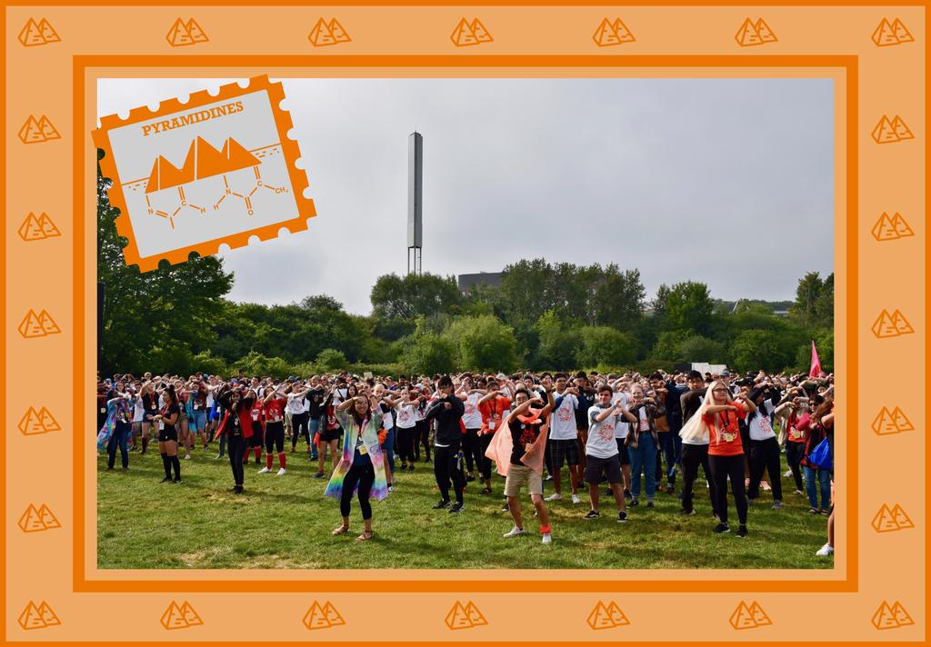 SCIOrientation's tweet image. Orange, your'e next! What's up Pyramidines?