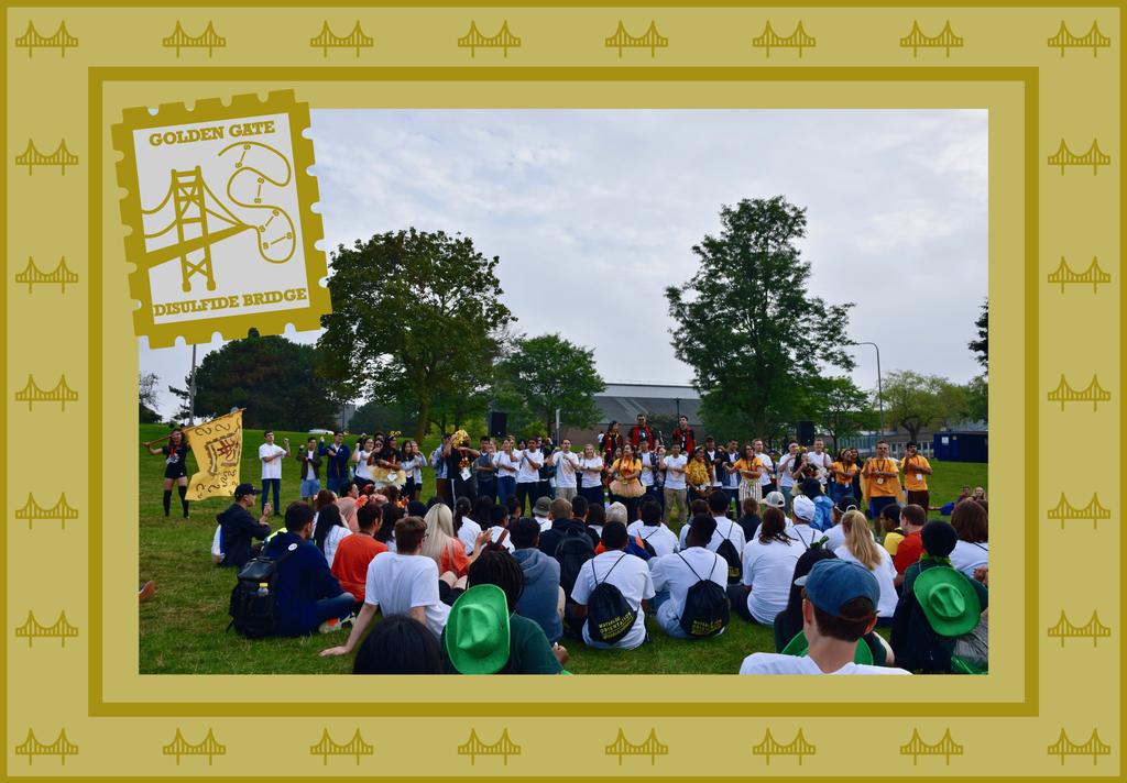 SCIOrientation's tweet image. 24k Gold! What's up Golden Gate Disulfide Bridge?