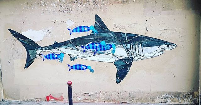 commonsensibled's tweet photo. #art #toptags #artist #artistic #artists #arte #artlovers #instaartoftheday #myart #artwork #illustration #graphicdesign #artstagram #color #bestartfeatures #instaart #painting #drawing #art_community #paintings #watercolor #oilpainting #ink #creative #g… https://t.co/5qXhIz95Xp https://t.co/BN2gx5QBZz