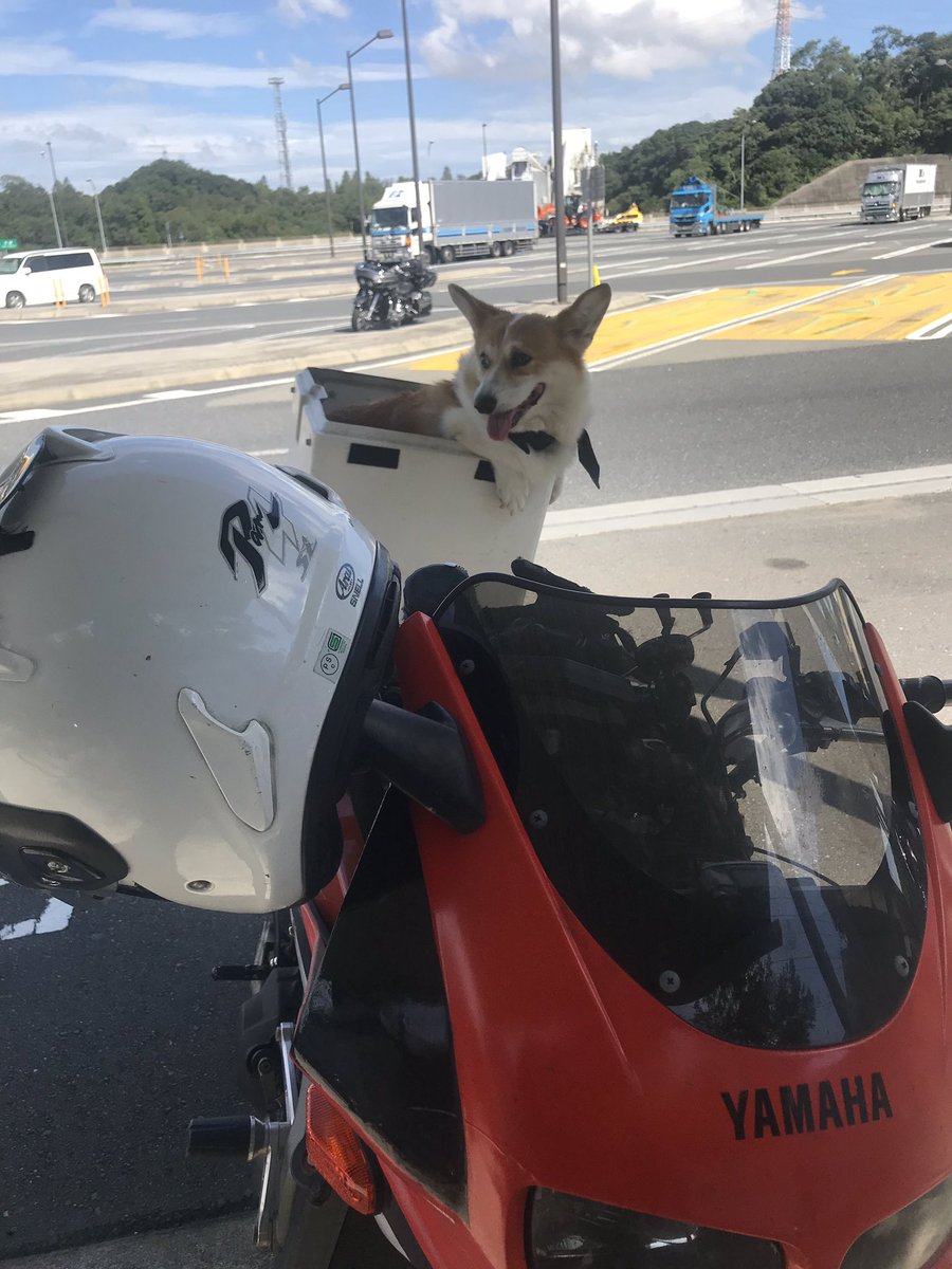 おにぎり 御在所saなう 伊勢湾岸道は良かったなぁ レゴランドと遊園地が見れたし でも 近くにあれだけの遊園地があるのに なんでレゴランドなんて建てたんだろう