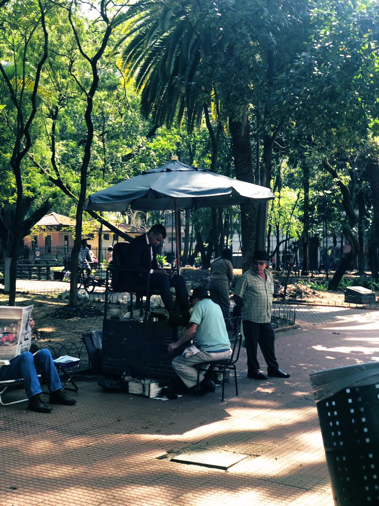 expatuae's tweet photo. The rich and the poor juxtapose in this country. My heart bleeds seeing so many homeless men and women in the streets. The lush forest in the middle of the city breaths life to them. 🇧🇷 https://t.co/rZ3WhBM8T8