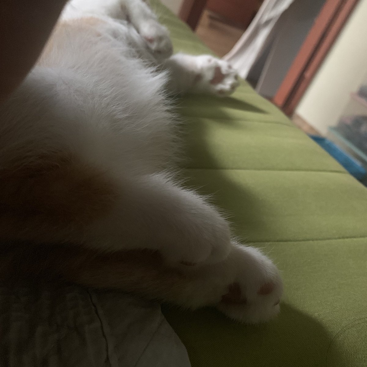 밥 먹고 배 통통