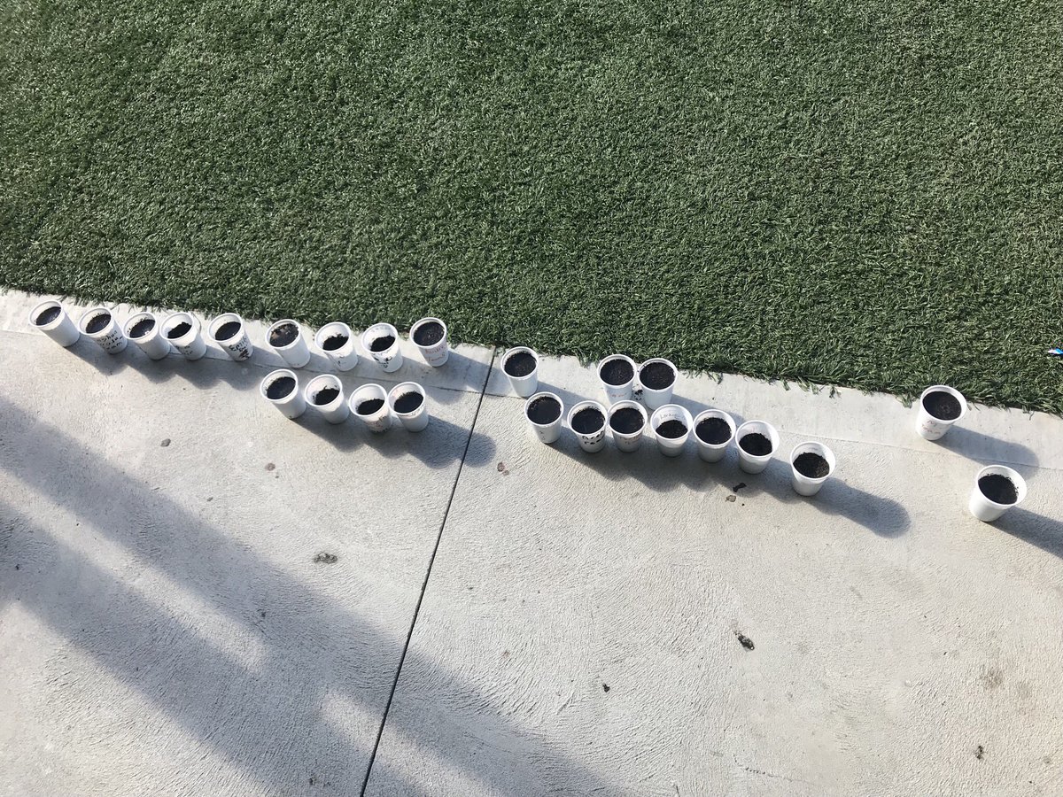 Danielle Bosque tweet media