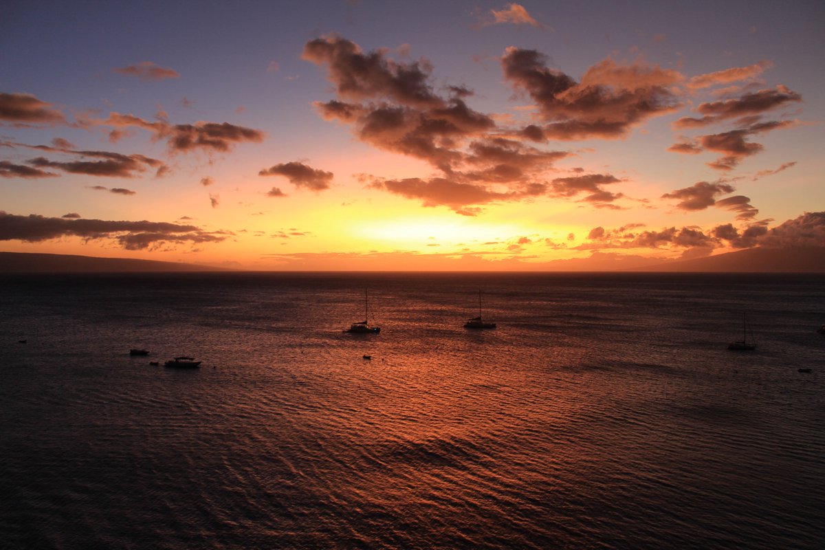 cola2019's tweet photo. Less than 24 hours to go before we kick off COLA 2019! We look forward to seeing our attendees at the Westin Maui’s Ocean Front Lawn from 5-7pm on Sunday for the Welcome Reception, Registration, and another famous Maui sunset. 🌅🌴 #cola2019 #laser #ablation #laserablation #Maui https://t.co/GKbDvDSD3w