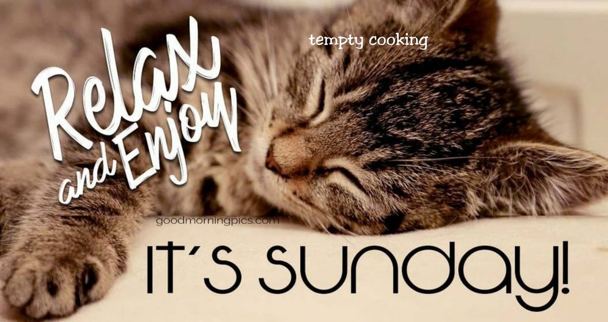 temptycooking's tweet image. “Morning is wonderful. Its only drawback is that it comes at such an inconvenient time of day.” ― Good Morning
#mornings #morning #goodmorning #love #sunrise #breakfast #morningmotivation #like #coffee #work #happy #photography #beautifulworld