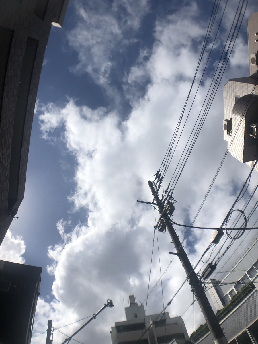 今日は東京でセミナー参加ですが、夕方からの台風が心配です。今はまだめちゃめちゃ外は暑いです〜〜。
セミナーも通常より休憩時間やお昼時間を削ったりして時間短縮です。
その分講義漬けでいつもよりしんどいですが。無事帰れるかな〜〜。