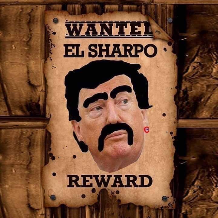 lobosalo's tweet photo. #ElSharpo would have thought that a sharpie was #DotardDonnie's kryptonite. ๐๐พrRump and his #MAGAt sheep https://t.co/3XKhxVmONT