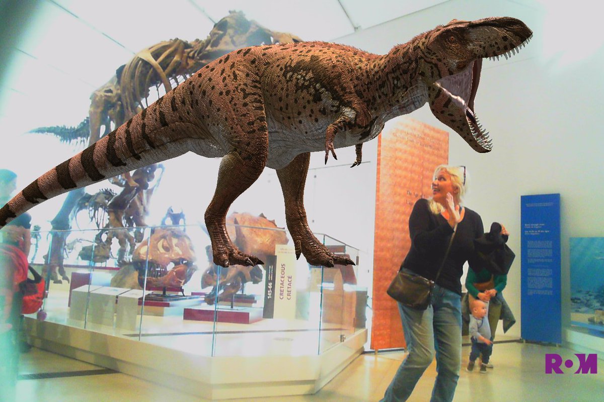 JaneSpotting's tweet photo. TRex at ROM chasing me down @ROMtoronto #ROMTrex https://t.co/u3LIgUsdSA