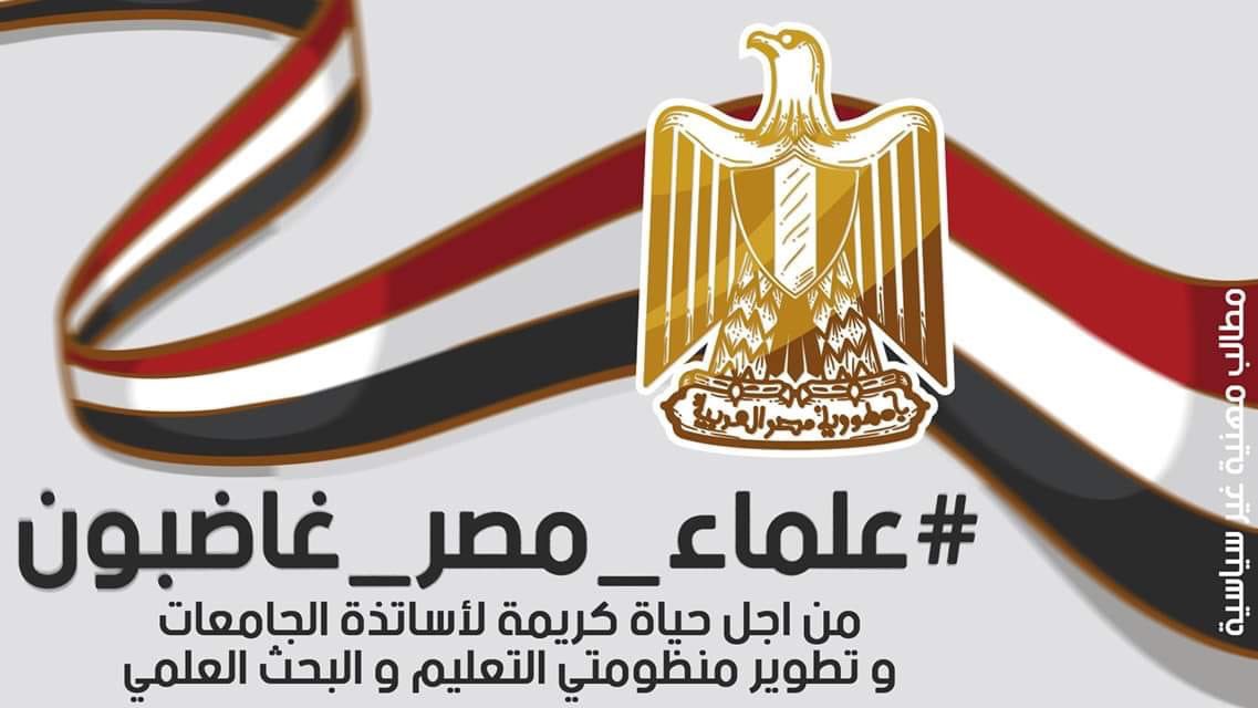 Rola_Nowar's tweet photo. #الاعلام_المصرى_فين_علماء_مصر_غاضبون https://t.co/wjl5yUW5nR