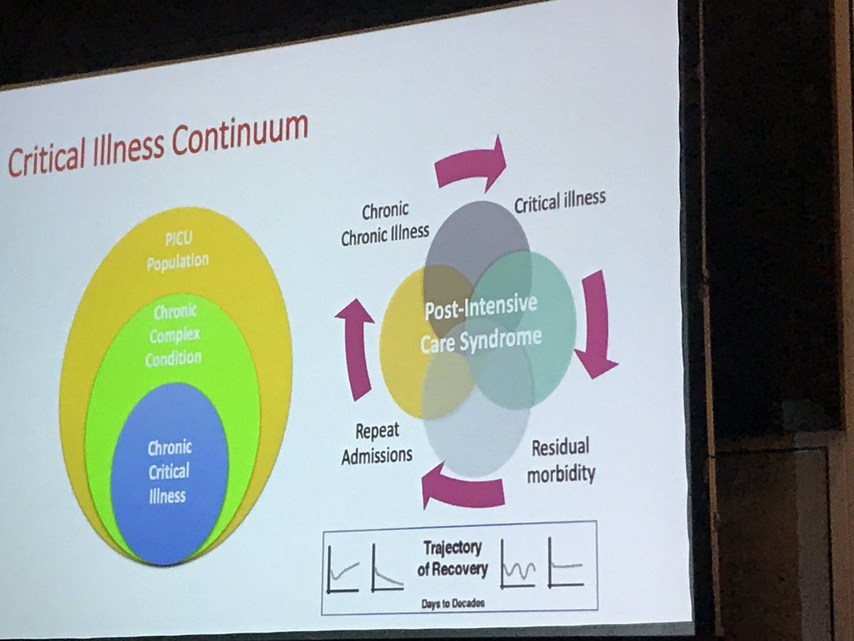 PravinPICU's tweet photo. @karen_choong discusses life after #PedsICU discharge. #PICULiber8 #ASMIC2019 https://t.co/LF2JaU6zD2