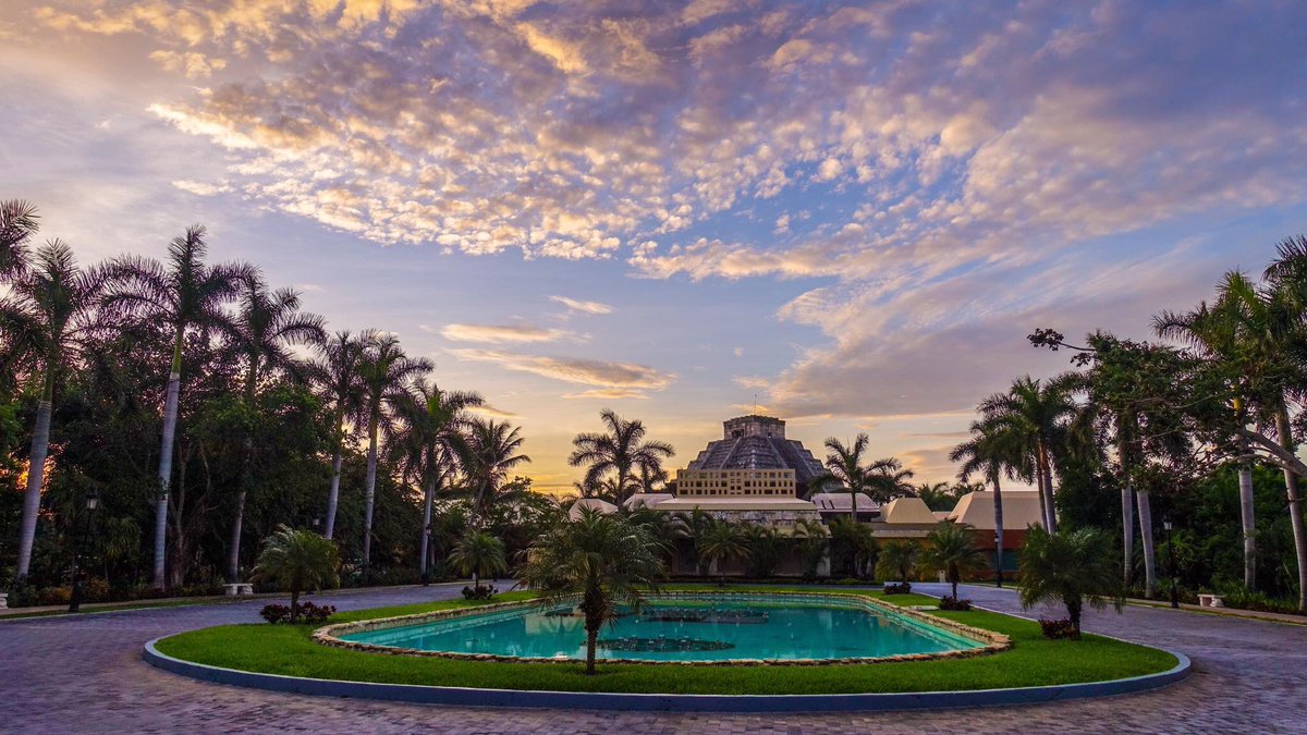 Josh Reilly tweet media