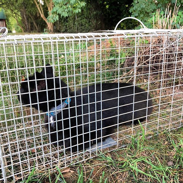 Adam Beck tweet media