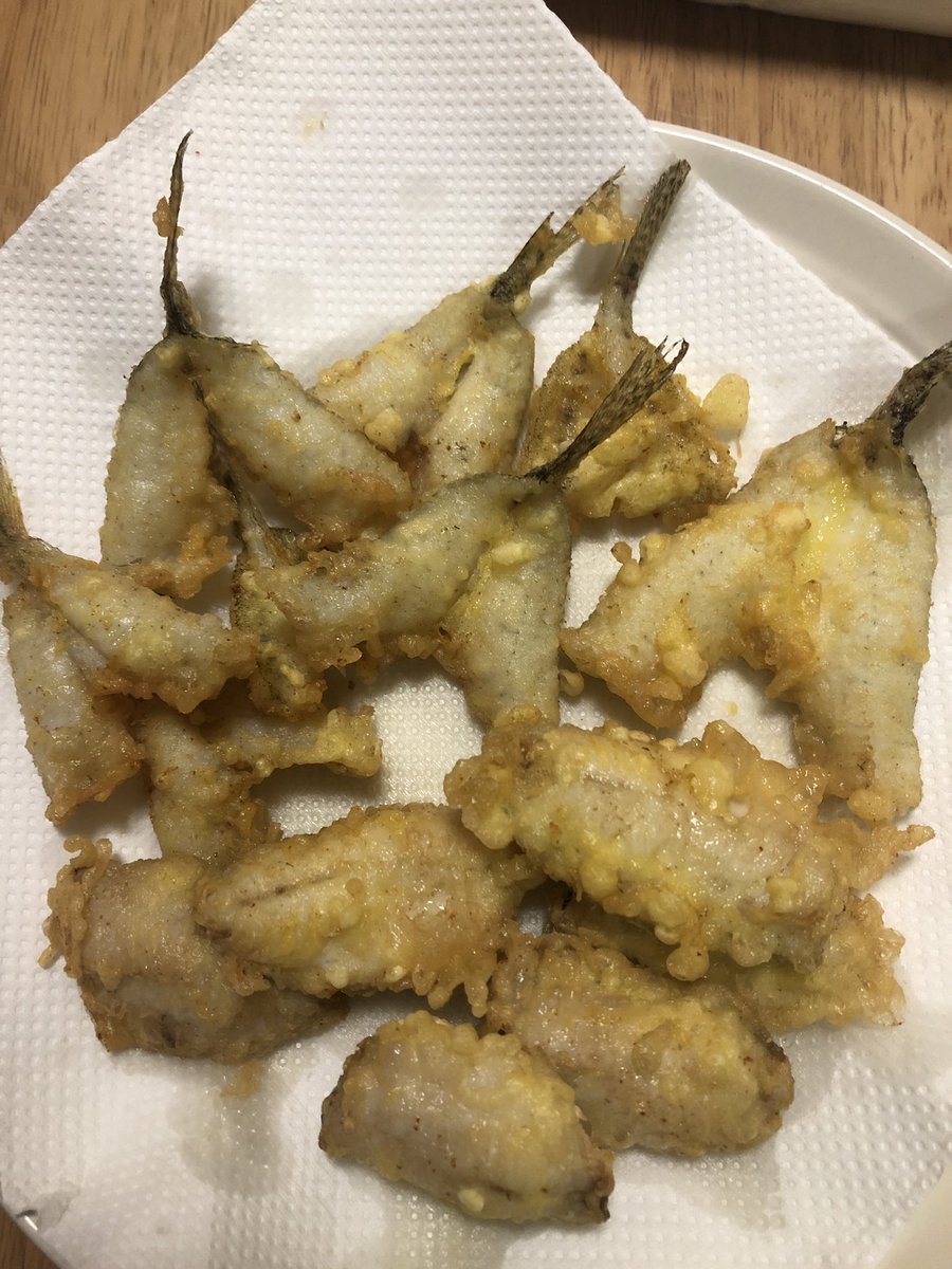 イカさま 先日釣れたハゼ 貰ったアジも天ぷらに 美味しいけど小さい 次回はもう少し大きい やつを イカさま 先日釣れたハゼ 貰ったアジも天ぷらに 美味しいけど小さい 次回はもう少し大きい やつを